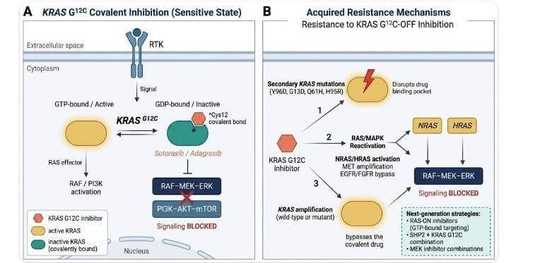 Clinical target intelligence output summarizing approved therapies, trials, and resistance considerations.