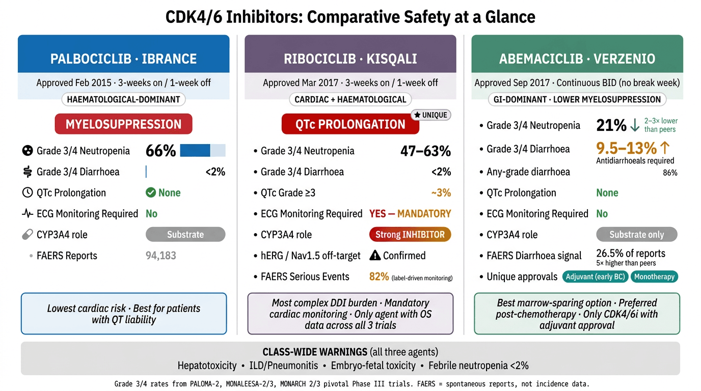 Comparative drug safety output showing label warnings, adverse event rates, and differentiation across CDK4/6 inhibitors.
