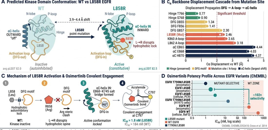 Structure-based drug design output with mutant protein analysis and docking results.