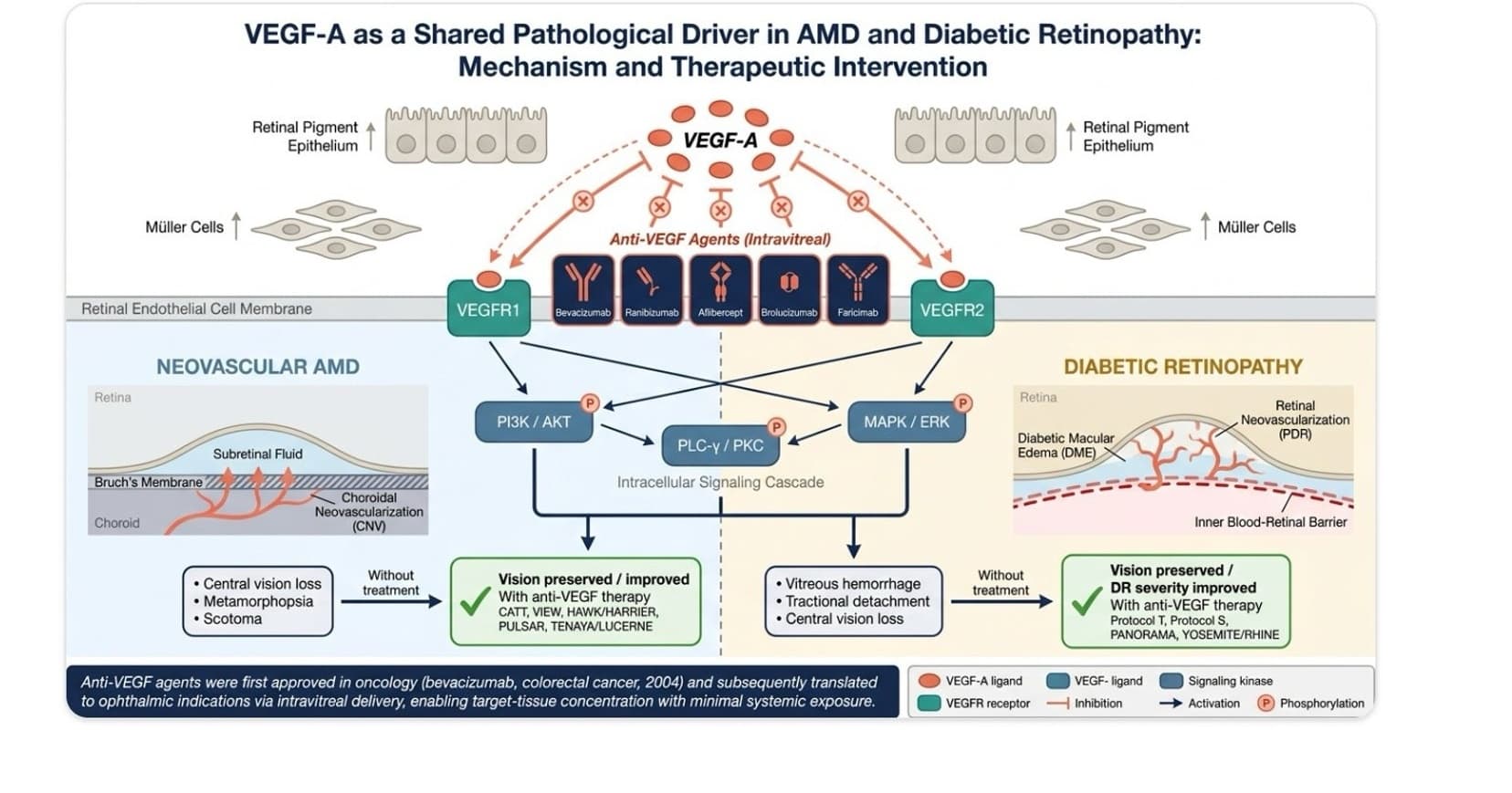 Indication expansion output comparing evidence across candidate diseases and translational rationale.