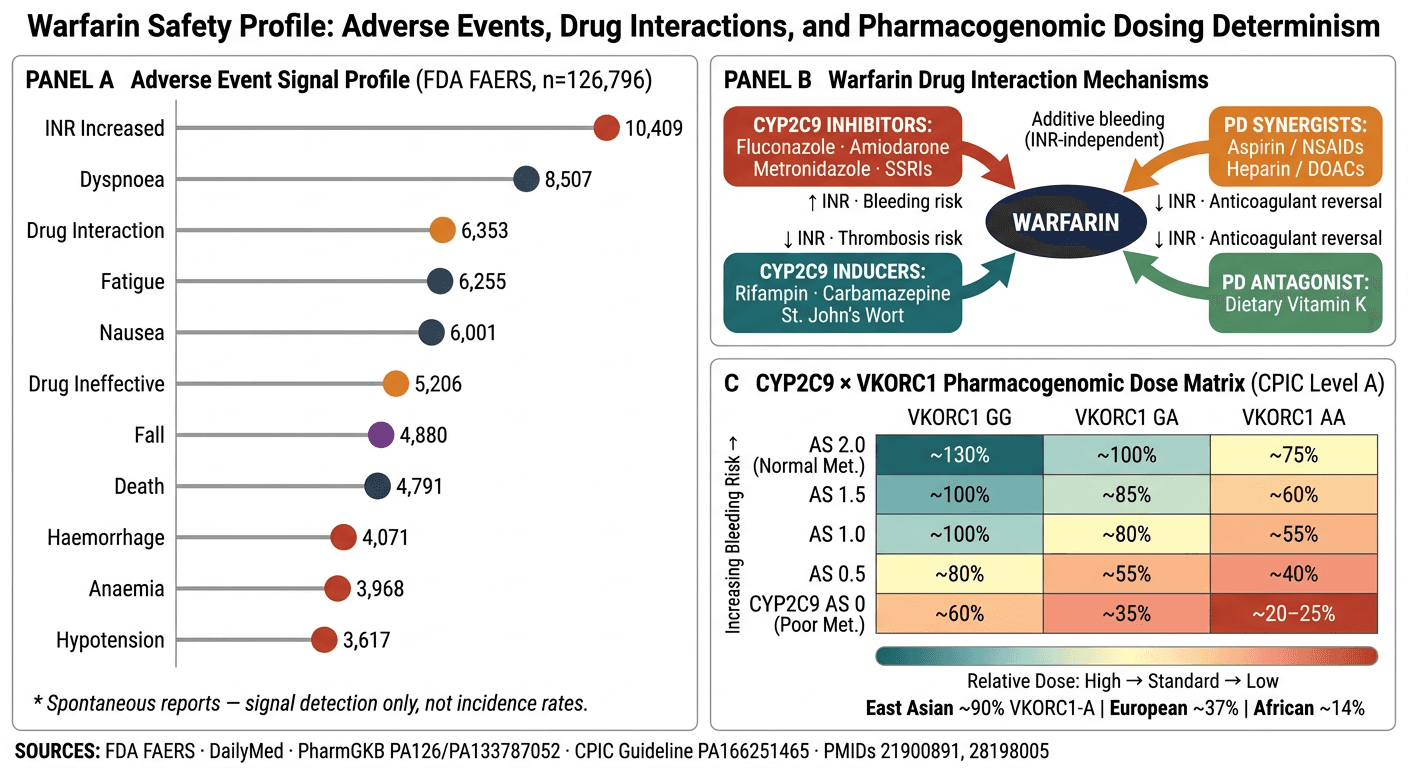 Safety and toxicity output showing adverse events, drug interactions, and pharmacogenomic dosing factors.