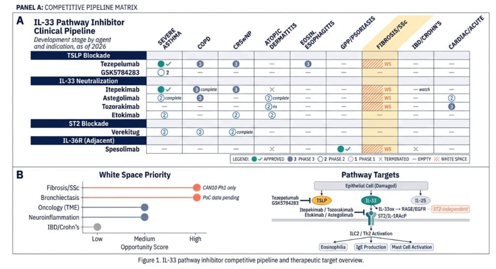 Competitive pipeline output showing mechanism and phase positioning across IL-33 pathway assets.
