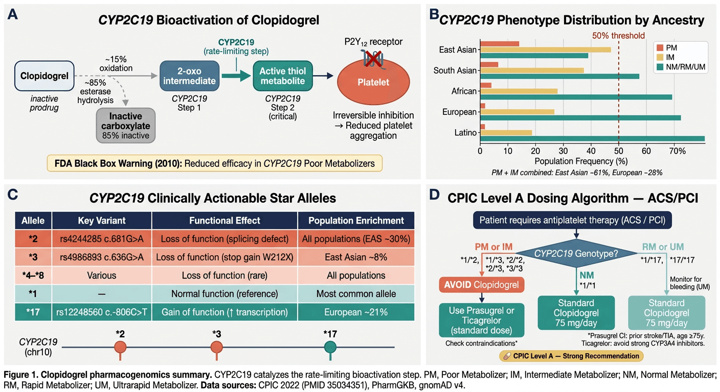 Biomarker and genomics output showing variant-driven pharmacogenomic risk and dosing implications.