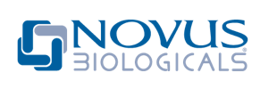 novus