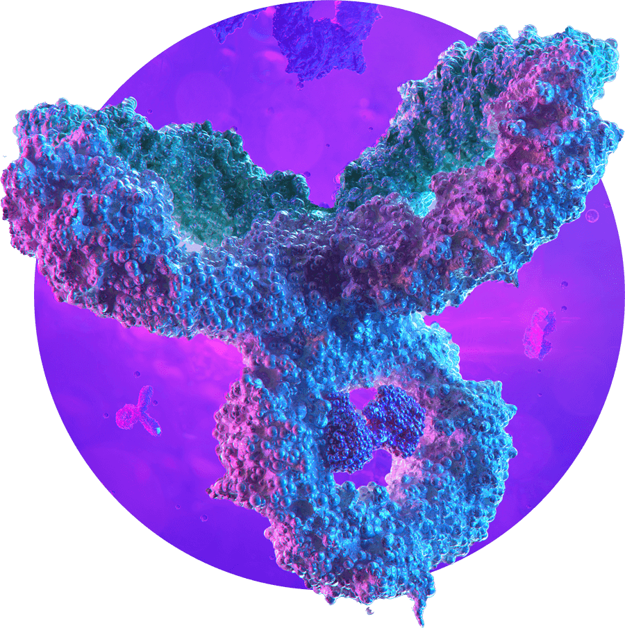 002_Antibody