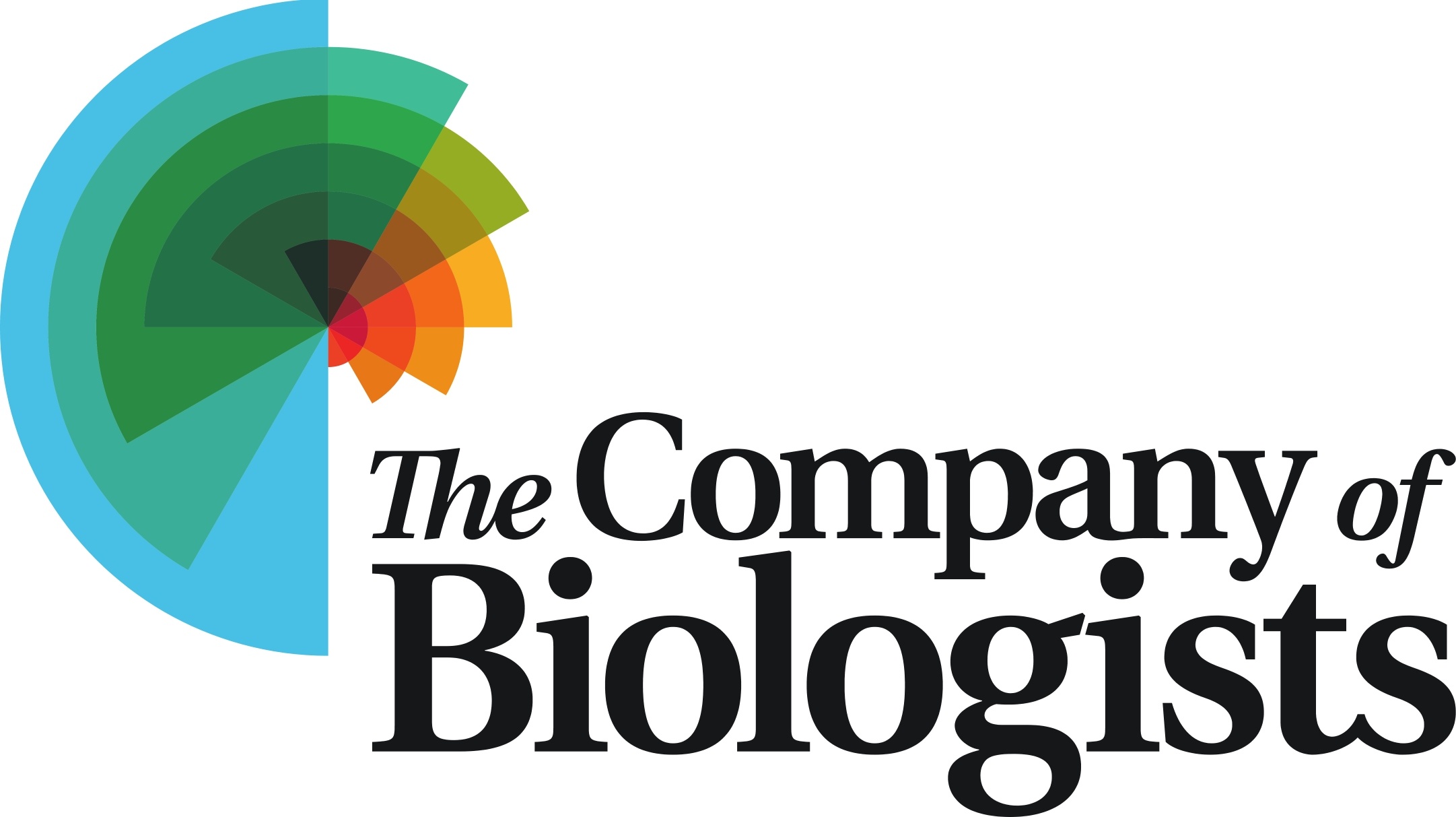 The Path to VICTORy – a Beginner's Guide to Success Using Commercial Research Antibodies